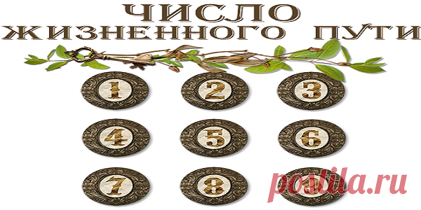 За 60 секунд вы узнаете, тот ли путь выбрали в жизни!