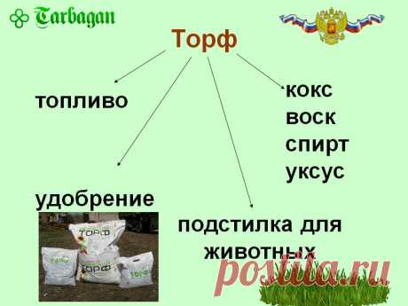 Торф: низинный, переходный и верховой