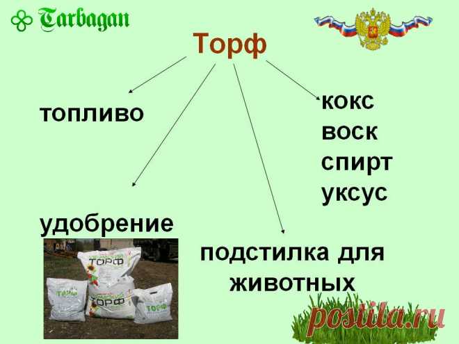 Торф: низинный, переходный и верховой