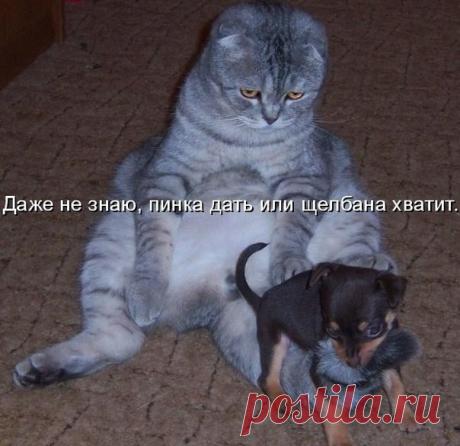 Новости - МирТесен