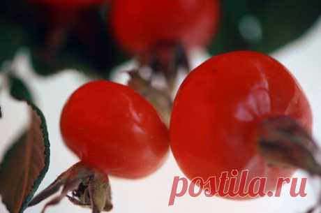 Рябина – понижает, куркума – повышает. Какие продукты регулируют давление | АиФ Кухня