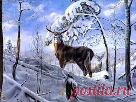 Мой Мир@Mail.Ru