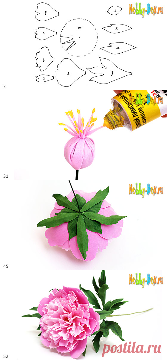Мастер-класс. Пион из фоамирана - Hobby-Box.ru