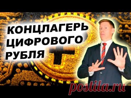 Цифровой рубль и CBDC. Цифровые валюты - денежный концлагерь?