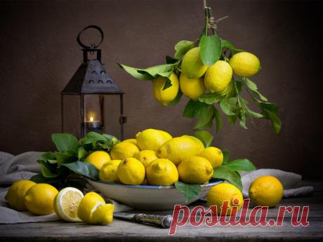 Удивительные свойства лимона и натюрморты