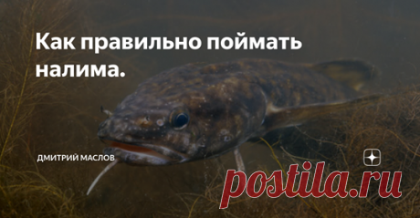 Рыбалка для людей