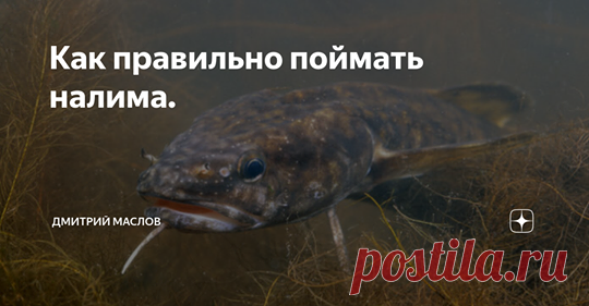 Рыбалка для людей