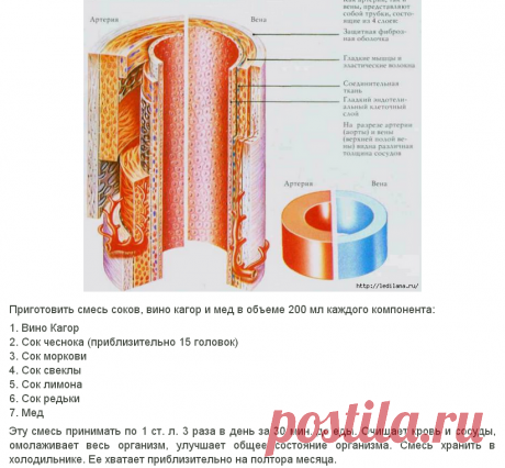 Рецепт &quot;7 стаканов&quot; очистит сосуды и очистит кровь!