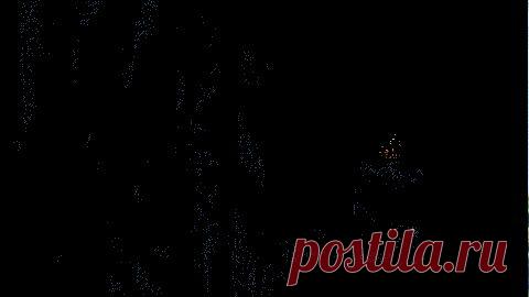 Мой Мир@Mail.Ru