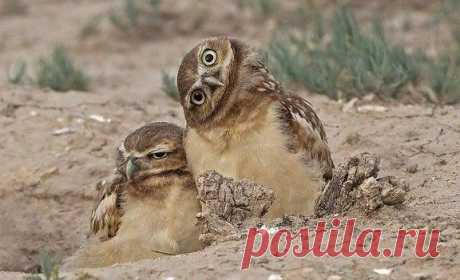 – Не хочу я фоткаться
– Да чего ты? Давай сфоткаемся.