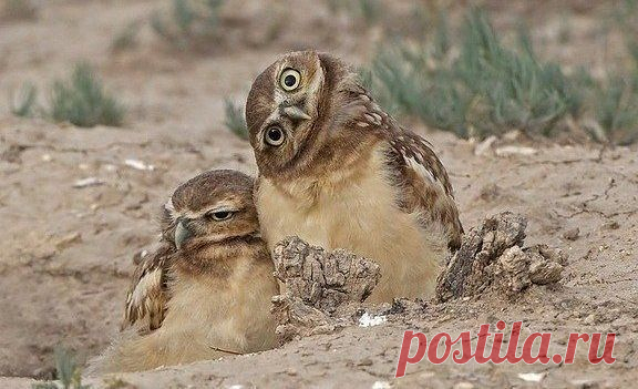 – Не хочу я фоткаться
– Да чего ты? Давай сфоткаемся.