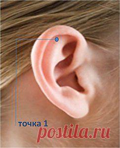 Гликемический индекс | Похудеть – 21 век