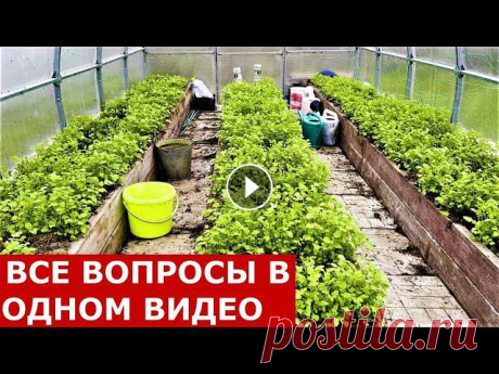 Зачем сеять сидераты? Сидераты осенью. Сев сидератов от сорняков. Сидераты после картошки от проволочника.Помощь каналу, карта Сбербанка - 4276 3800 7...