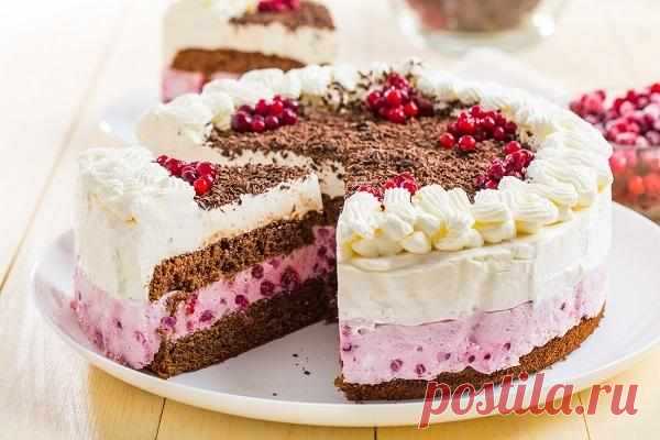 Домашние тортики на любой вкус: 10 вкусных рецептов — Домашняя кулинария