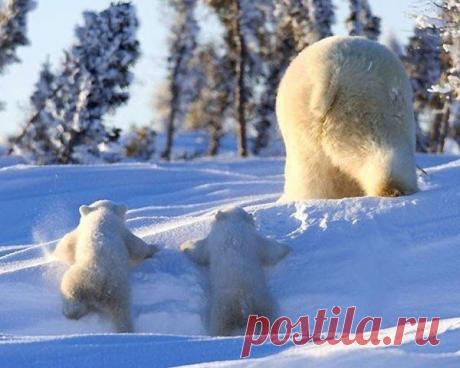 Умный журнал | Группы Мой Мир