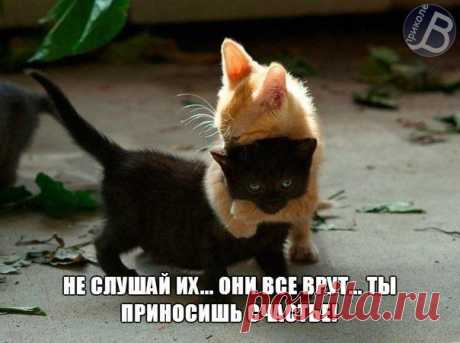 Новости