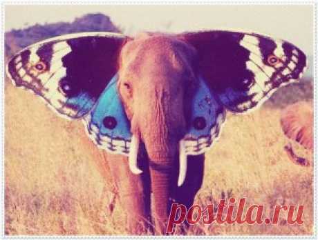 Как правильно сделать "Коллаж желаний"?. Статья. Фэн-Шуй. Самопознание.ру Если будешь улыбаться, все мечты начнут сбываться! Коллаж желаний , он же Плакат желаний , она же Газета счастья , она же Карта сокровищ или визуализация — это коллаж, на котором изображаются ваши желания и мечты. Воображение — это главный и…