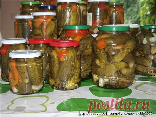 Огурцы маринованные (необычные).