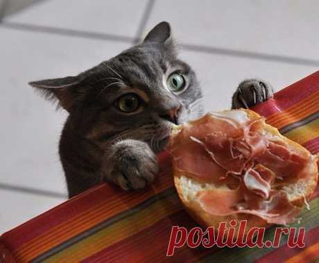 Мой Мир@Mail.Ru
