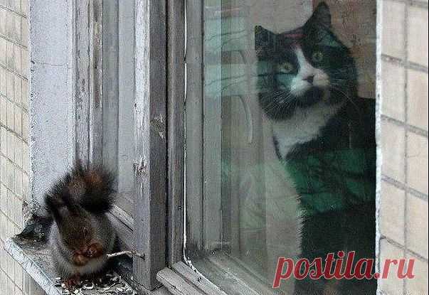 вы тоже видели эту наглость