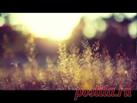 Музыка для души.