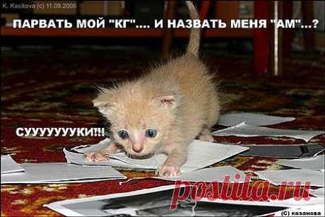 Хы)))))