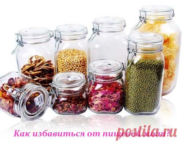Как избавиться от пищевой моли.