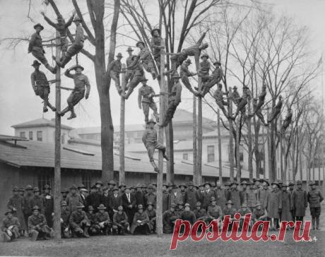 Пост действительно редких снимков