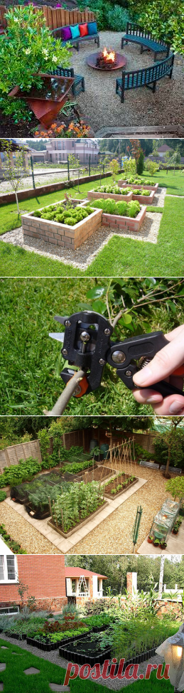 Лунный календарь садовода и огородника на май 2017 года