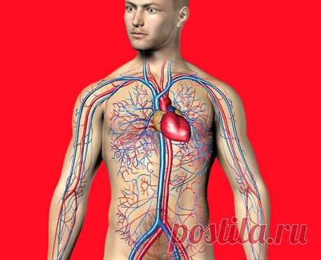«Голодная» диета поможет замедлить рост агрессивных опухолей / Будьте здоровы