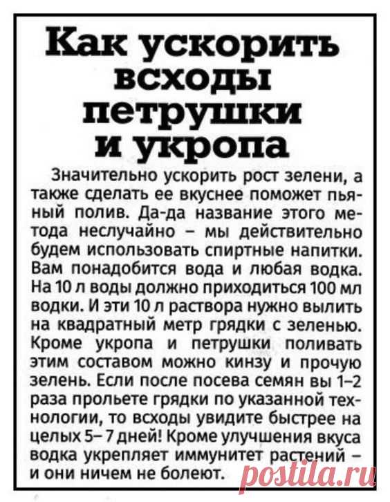 Романтические цитаты и фразы о любви: поэзия и психология жизни