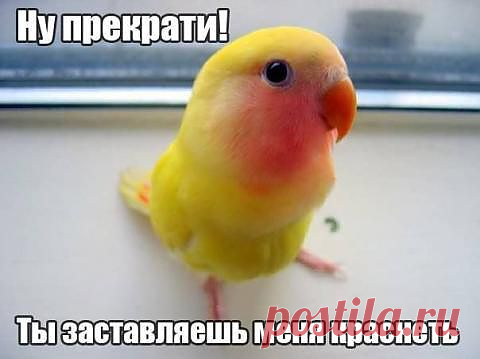 Застеснялся....