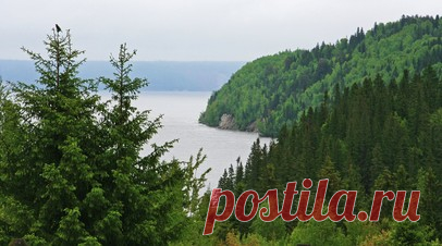 СК проводит проверку по факту смерти в лесу актрисы Шельменкиной. Следственный комитет проводит проверку по факту смерти актрисы Нижегородского государственного академического театра кукол Софьи Шельменкиной в лесу в Нижегородской области. Читать далее