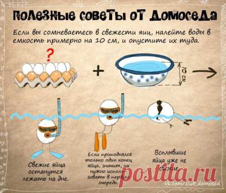 Хозяйке на заметку-3 (24 фото) - ЛоЛс.ру - Позитивный такой смешарик! :-))
