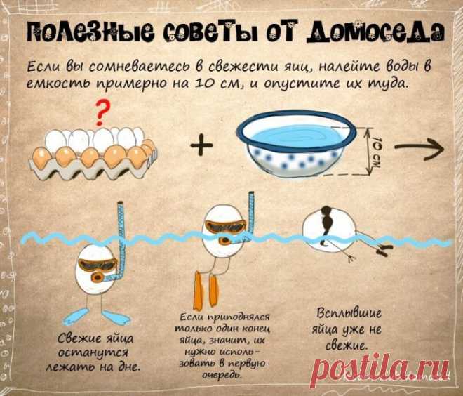 Хозяйке на заметку-3 (24 фото) - ЛоЛс.ру - Позитивный такой смешарик! :-))