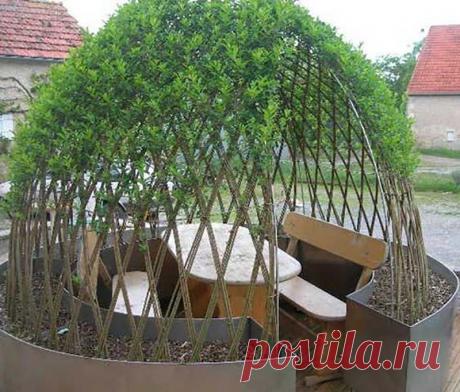 Плетение из лозы