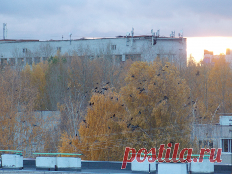 Осень.
