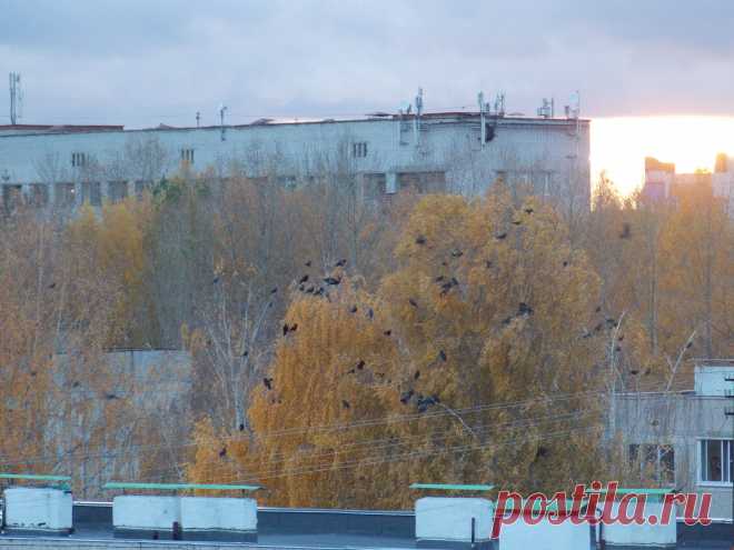 Осень.