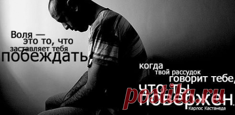 Красивые афоризмы