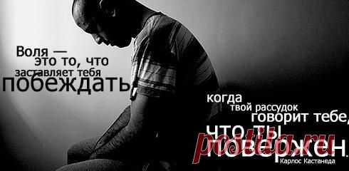 Красивые афоризмы