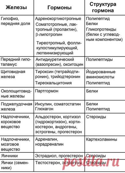 железы внутренней секреции таблица – Google Поиск