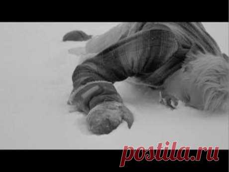 Борис Гребенщиков - Шинкаревский романс
