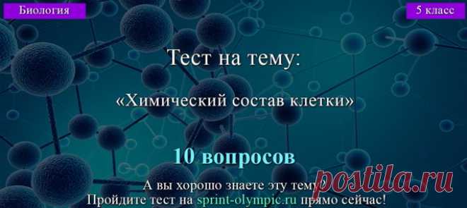 Карта специй! Берем на заметку!