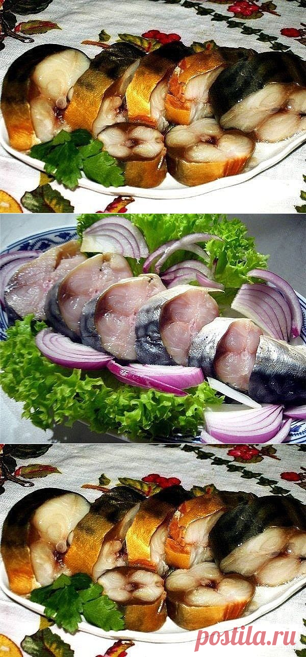 Готовься рыбка большая и маленькая