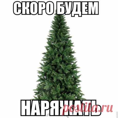 Светлана Болотова
