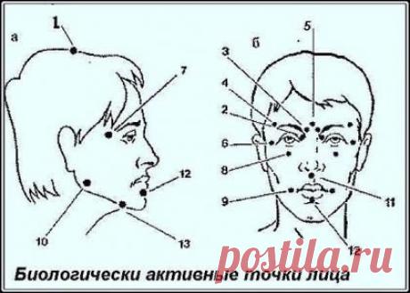 Биологически активные точки на голове - ваша скорая помощь