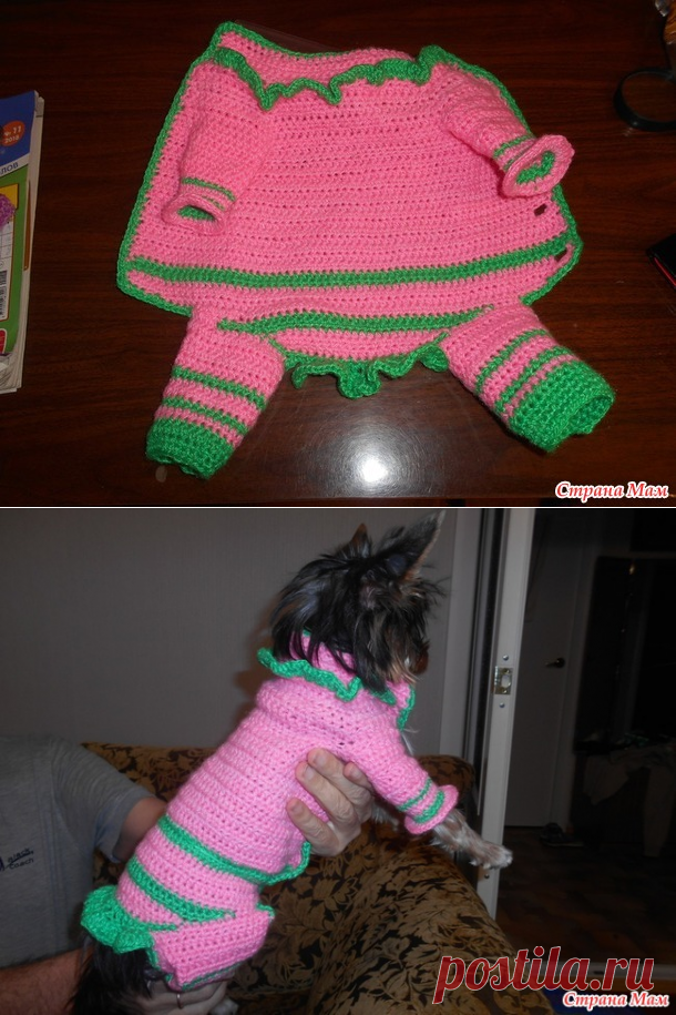 . Комбинезон для йорка - Все в ажуре... (вязание крючком) - Страна Мам