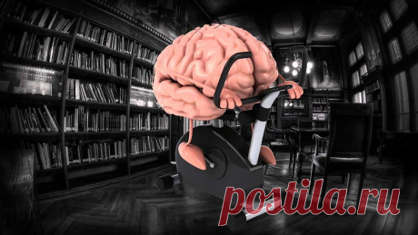 Хитрости и упражнения, как тренировать память | FITERIA.ru | Яндекс Дзен