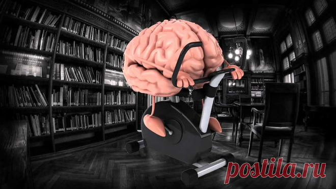 Хитрости и упражнения, как тренировать память | FITERIA.ru | Яндекс Дзен