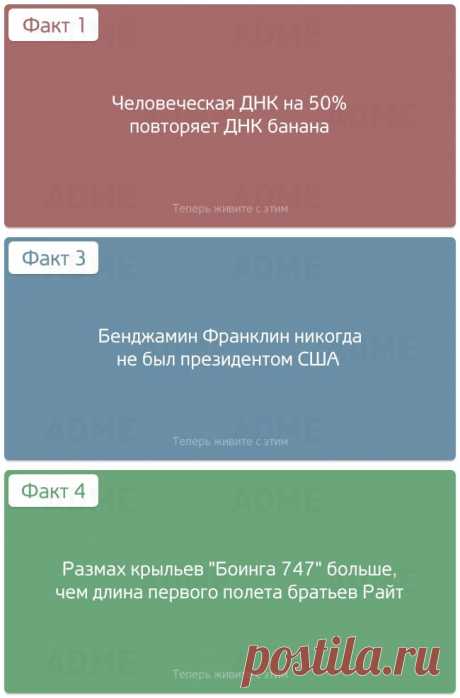 Абсолютно бесполезные факты обо всем - Познавай